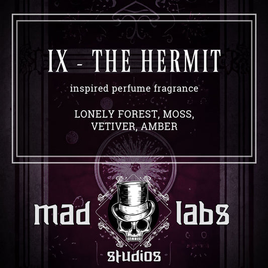 IX - THE HERMIT